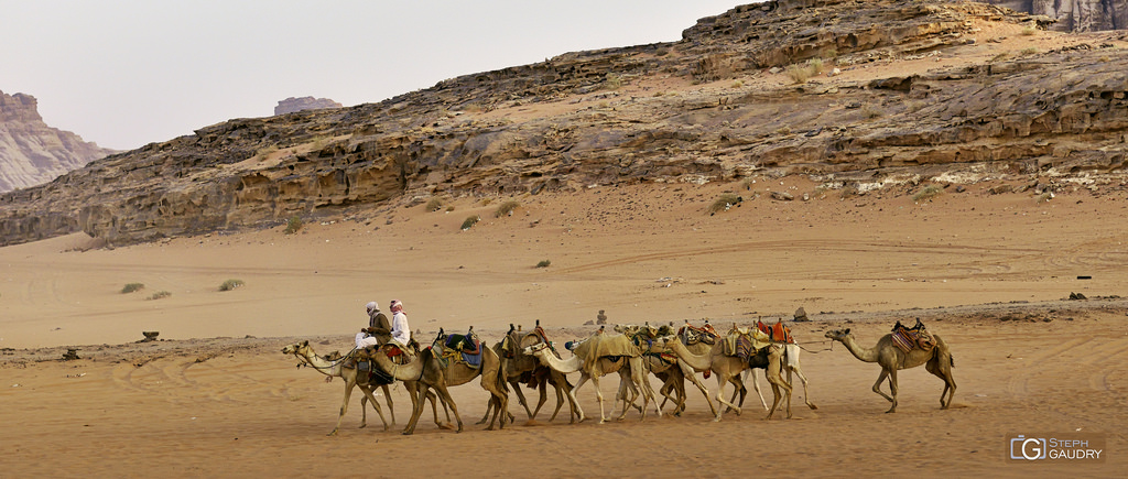 Marche en avant de toi-même, comme le chameau qui guide la caravane.