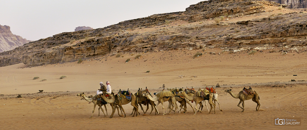 Marche en avant de toi-même, comme le chameau qui guide la caravane. Marche en avant de toi-même, comme le chameau qui guide la caravane.