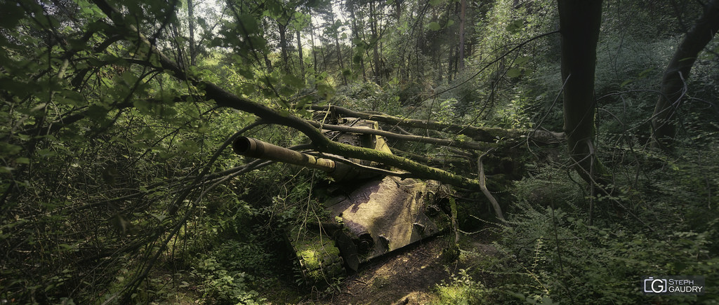 Tank abandonné dans la forêt