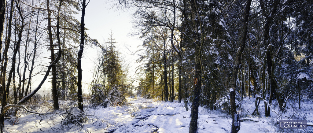 Creppe, près du Pouhon