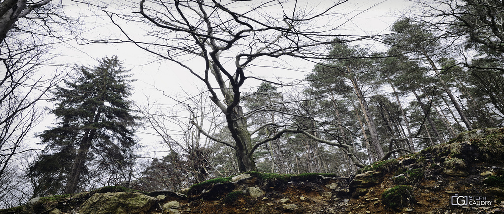 Cliquez sur la photo pour lire la suite - Photo sans description -