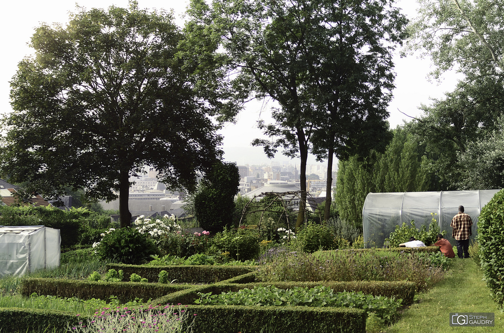 Liège, les potagers des coteaux Liège, les potagers des coteaux