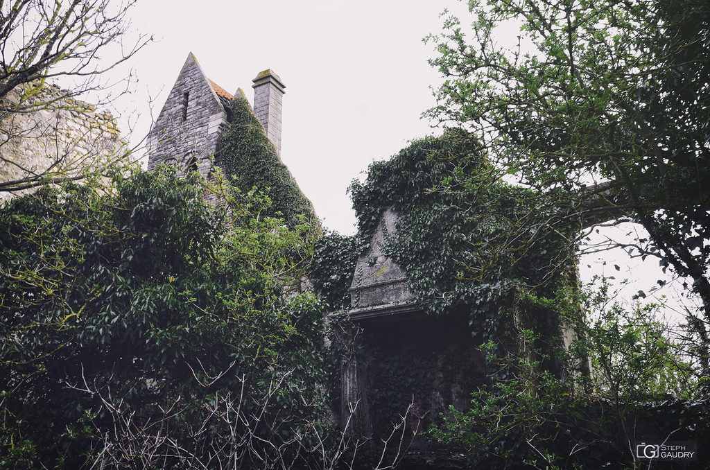 Le lierre a tout colonisé Bernard Wright's strange house - Chimney