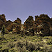 Thumb Las Cañadas del Teide