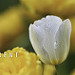 Miniature Photo suivante: BE DIFFERENT