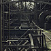 Miniature Photo précédente: