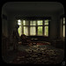 Miniature Photo précédente: It's sometimes too late for a comeback