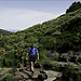Miniature Photo suivante: Balade du Puigmal 2015_07_04_090452
