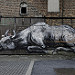 Thumb Doel,  cattle by Roa