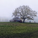 Thumb Ravel, ligne 33 - brouillard