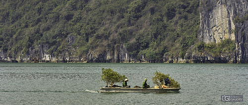 Baie d'Ha Long - 2018_04_18_140412