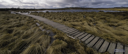 Fagne de Brackvenn - 2022_02_19_120400