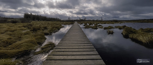 Fagne de Brackvenn - 2022_02_19_120500