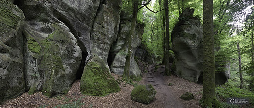 Mullerthal Trail E1 entre Wollefsschlucht et Deiwelsschlëff