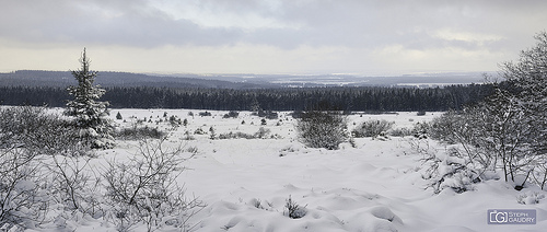 Signal de Botrange, vue sur la fagne