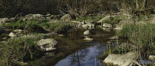 Fonds de Quareux - Amblève