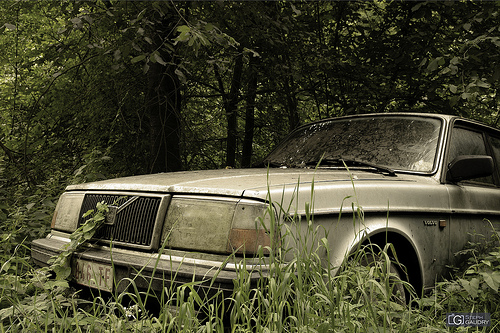 Volvo, retour à la nature