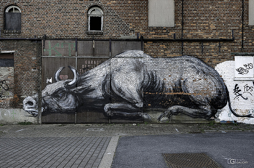 Doel, cattle by Roa