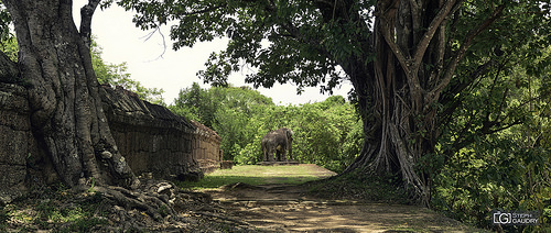 Eastern Mebon (East Baray)