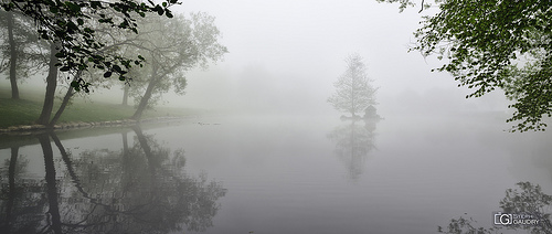 Domaine de Wégimont sous le brouillard