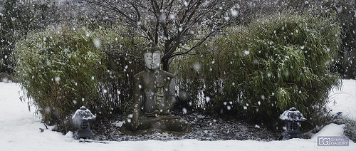 Méditation sous la neige