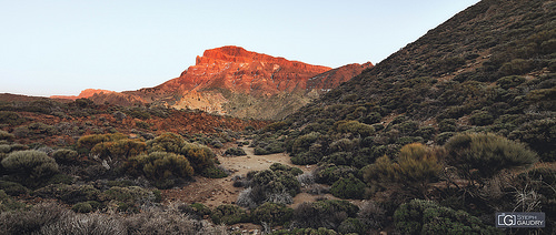 Alto de Guajara