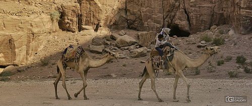 Sur la route de Petra...