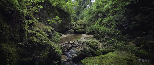 Berdorf - Mullerthal trail
