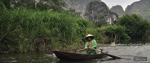 Sur la rivière Ngo Dong (Ninh Binh, Vietnam)