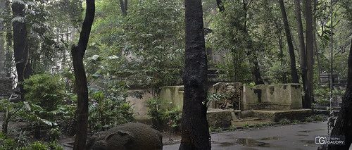 Vestiges précolombiens à Mexico