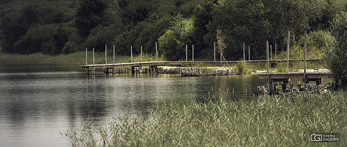 Les étangs d'Arjuzanx