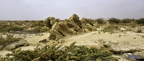 Boa Vista - Curral Velho