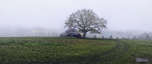 Ravel, ligne 33 - brouillard