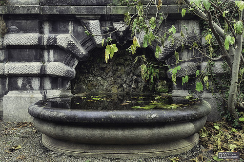 La fontaine du jardin botanique