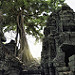 Thumb Ta Prohm