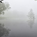 Thumb Domaine de Wégimont sous le brouillard