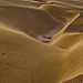 Thumb Boa Vista - du sable à perte de vue