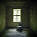 Miniature Photo précédente: Sit and let soak green