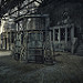 Miniature Photo suivante: Sous les friches mortes...