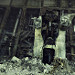Miniature Photo suivante: Gargoyles are petrified during the day...