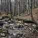 Miniature Photo suivante: