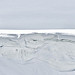 Miniature Photo suivante: