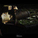 Miniature Photo précédente: