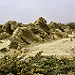 Miniature Photo suivante: Boa Vista - Curral Velho