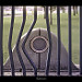 Miniature Photo suivante: Distortion