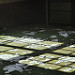 Miniature Photo précédente: