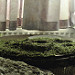Miniature Photo suivante: A microworld to explore