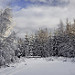 Miniature Photo suivante: Hautes fagnes