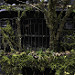 Miniature Photo suivante: Monster Mind