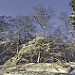 Miniature Photo précédente: